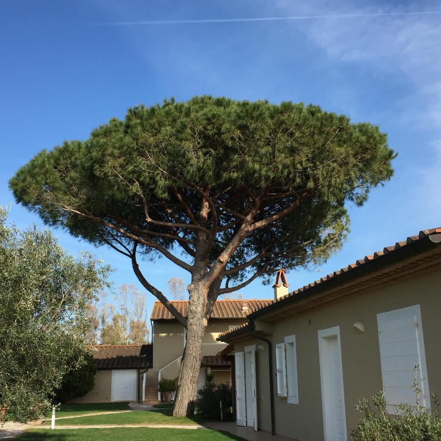 Relais Le Fornacelle Lejlighedshotel Castagneto Carducci Eksteriør billede
